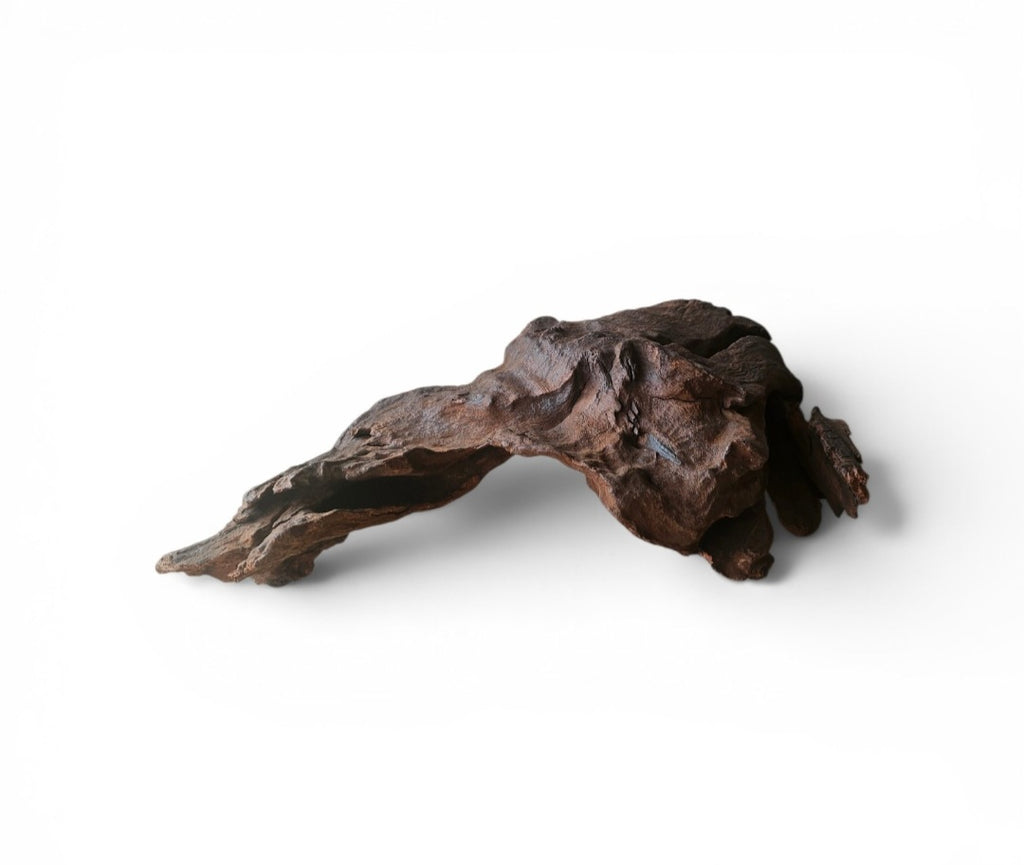 Driftwood / Flusswurzel Nr. 257