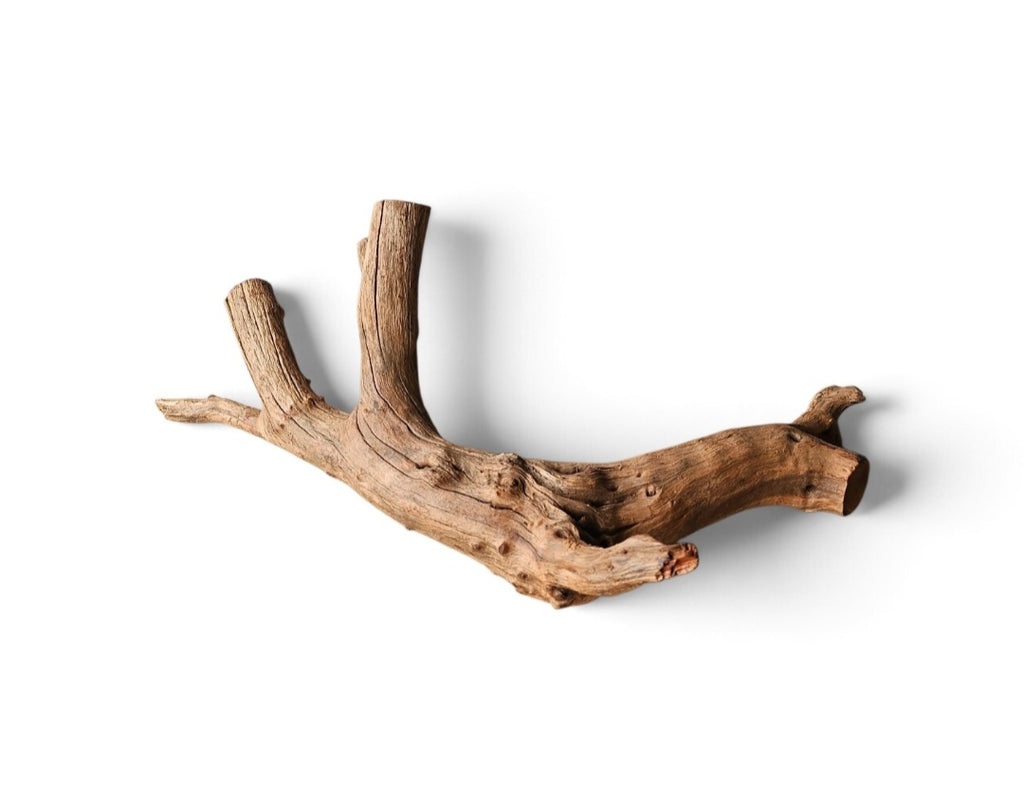 Driftwood / Flusswurzel Nr. 258
