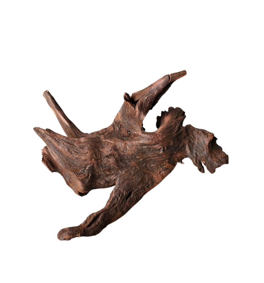Driftwood / Flusswurzel Nr. 271