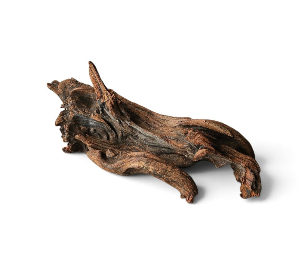 Driftwood / Flusswurzel Nr. 273