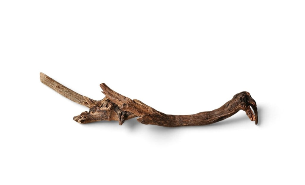 Driftwood / Flusswurzel Nr. 274