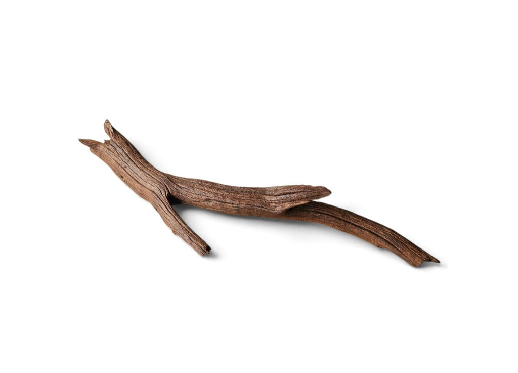 Driftwood / Flusswurzel Nr. 370