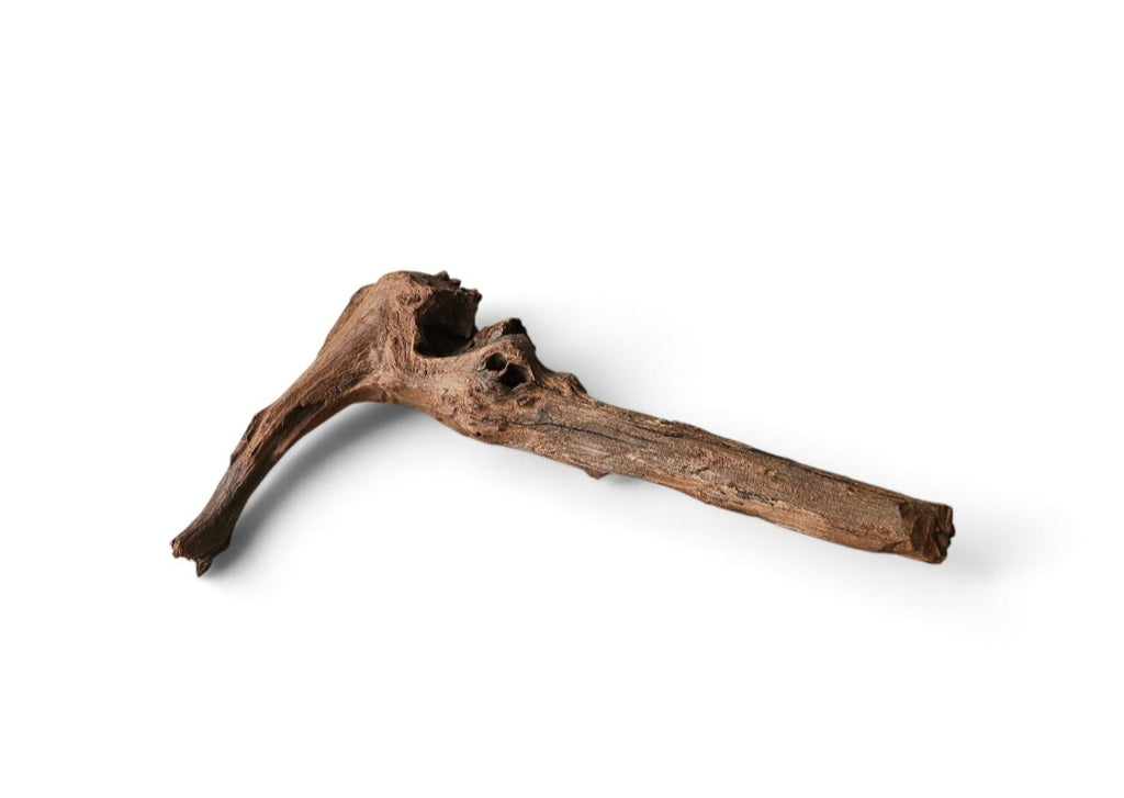Driftwood / Flusswurzel Nr. 373