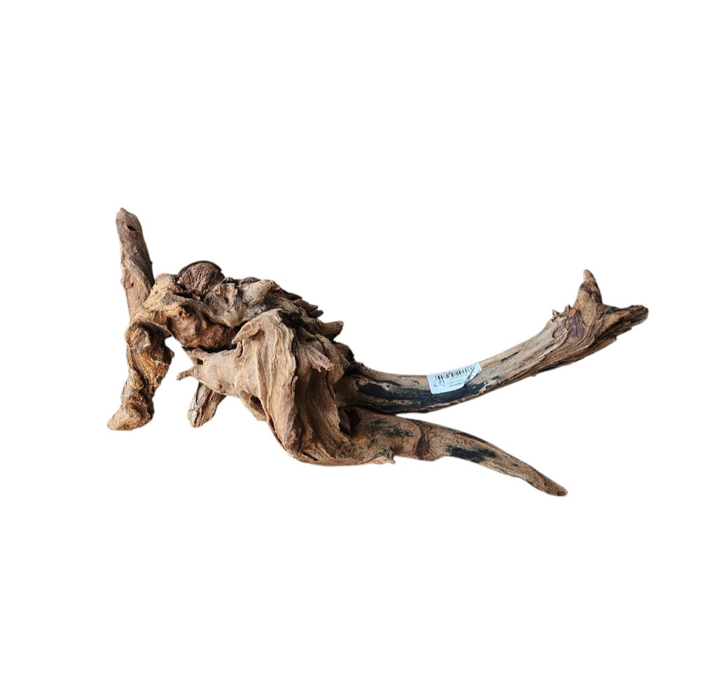 Driftwood / Flusswurzel Nr.374