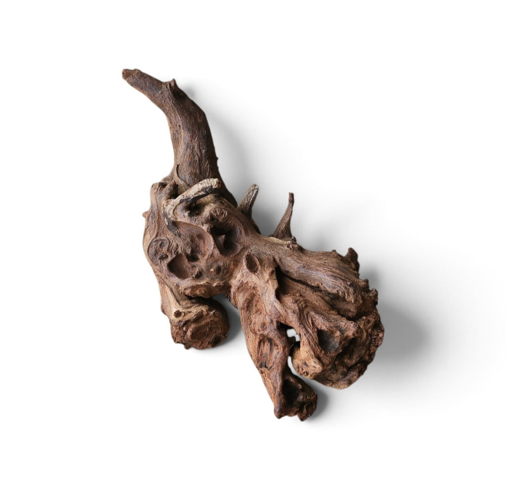 Driftwood / Flusswurzel Nr. 375