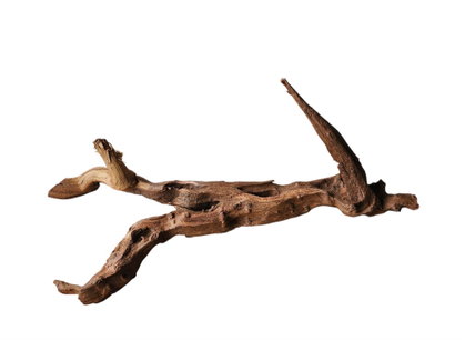 Driftwood / Flusswurzel Nr. 478