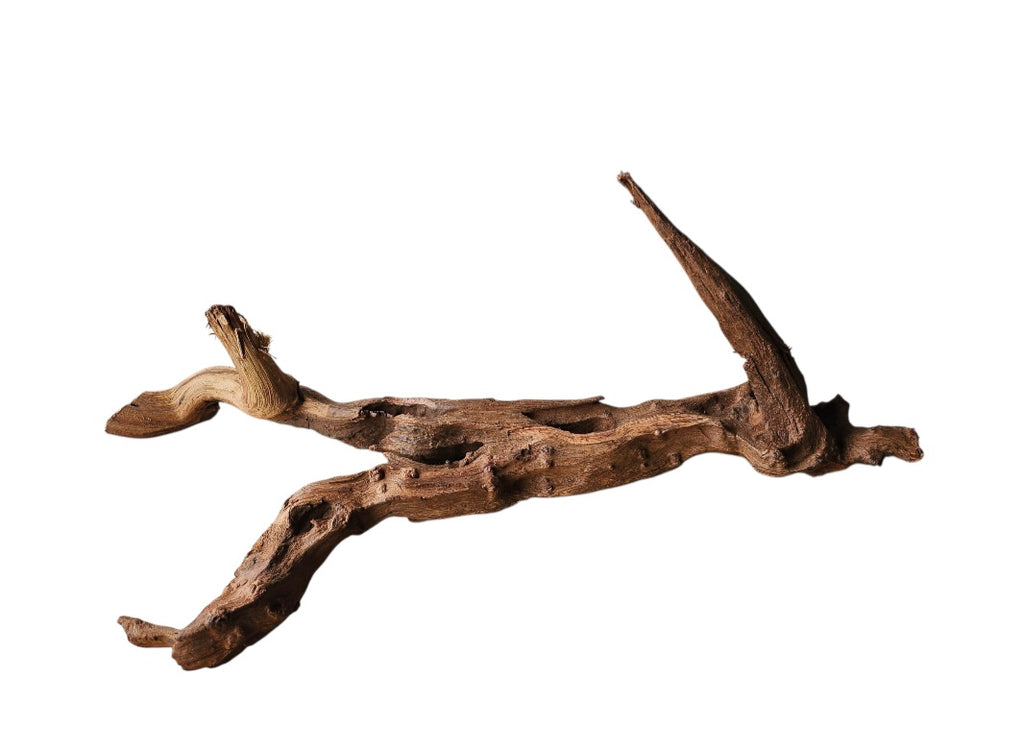 Driftwood / Flusswurzel Nr. 478