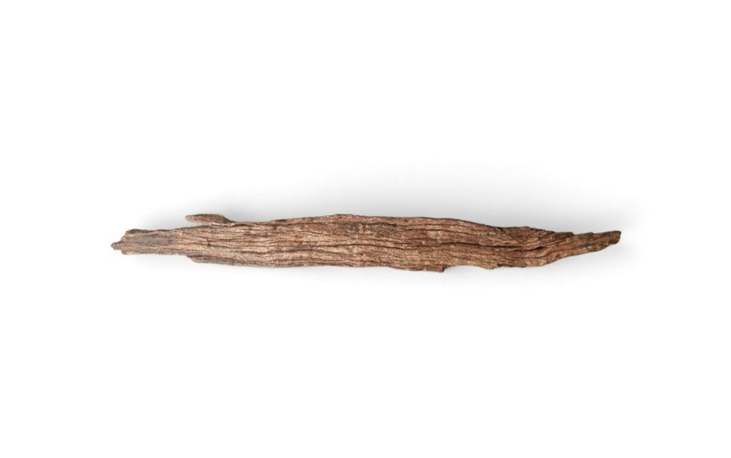 Driftwood / Flusswurzel Nr. 480