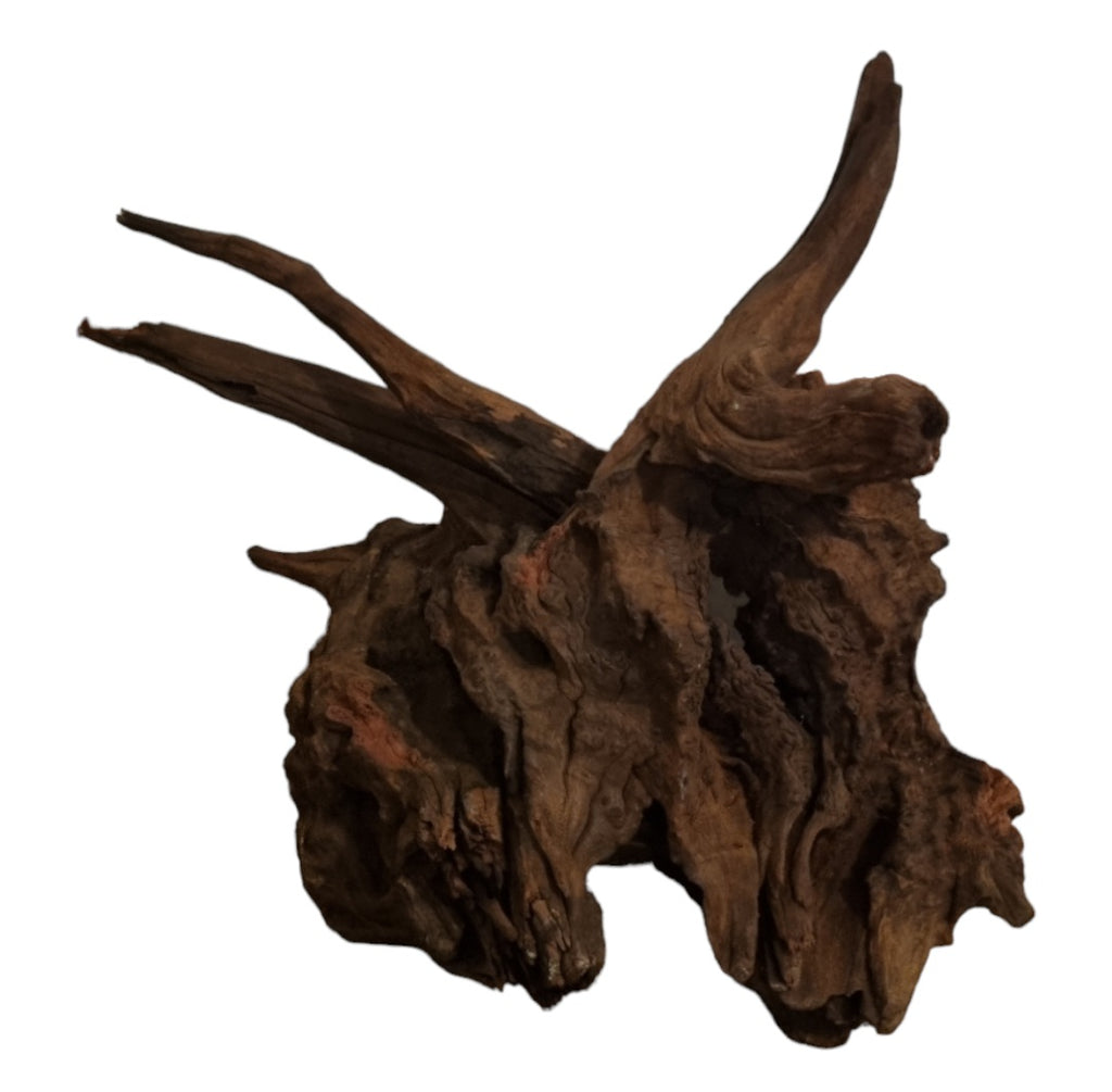 Driftwood / Flusswurzel Nr. 482