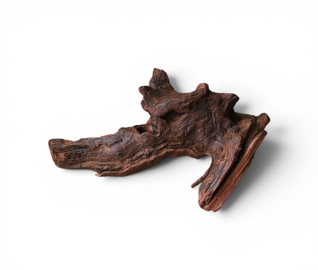 Driftwood / Flusswurzel Nr. 484