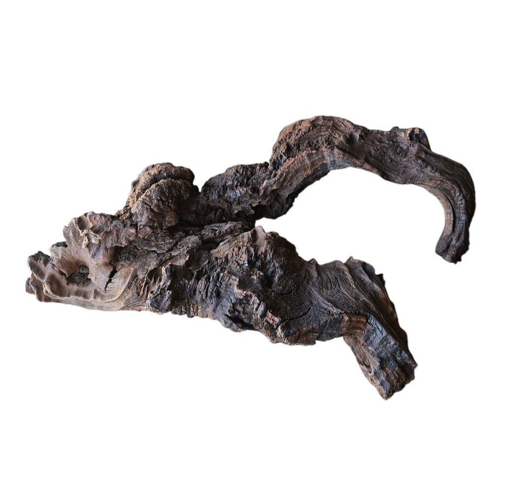 Driftwood / Flusswurzel Nr. 488
