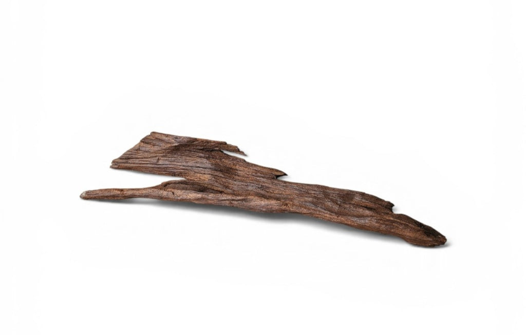 Driftwood / Flusswurzel Nr. 489