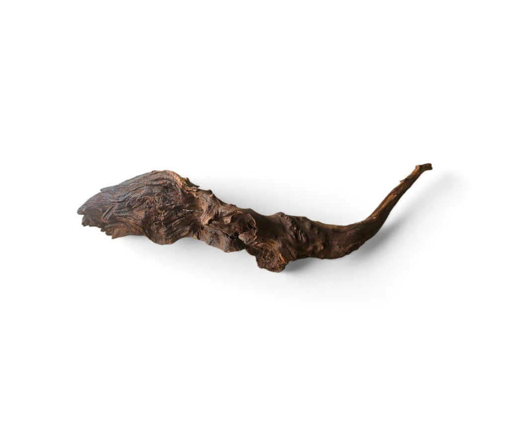 Driftwood / Flusswurzel Nr. 494