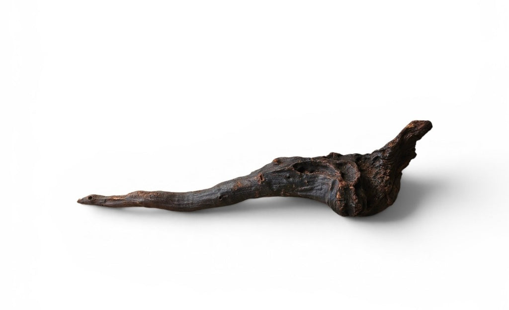 Driftwood / Flusswurzel Nr. 495