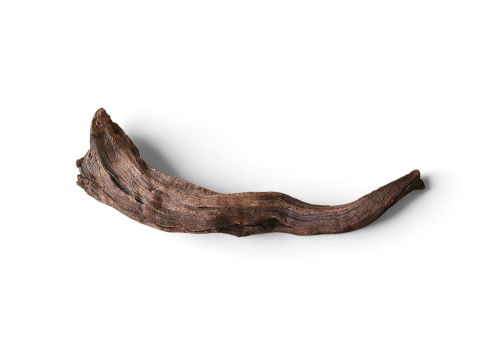 Driftwood / Flusswurzel Nr. 691