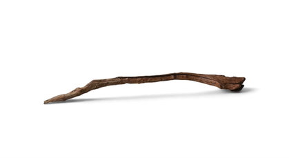 Driftwood / Flusswurzel Nr. 787
