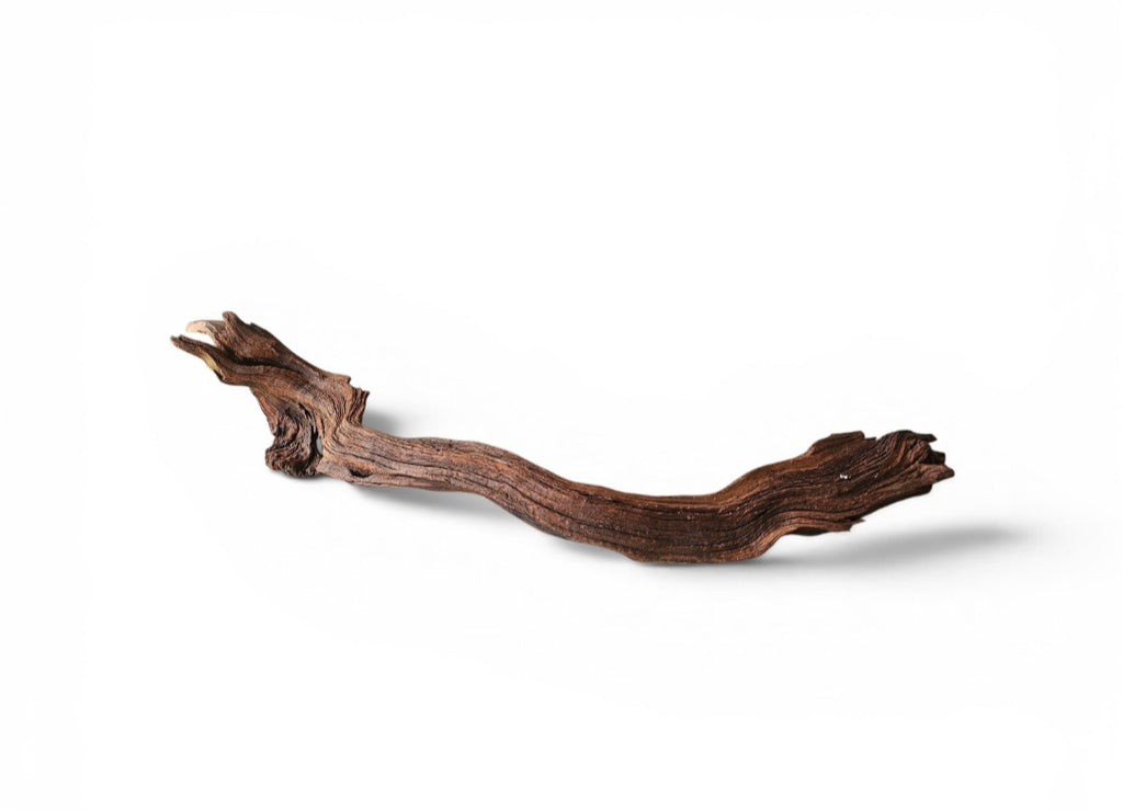 Driftwood / Flusswurzel Nr.792