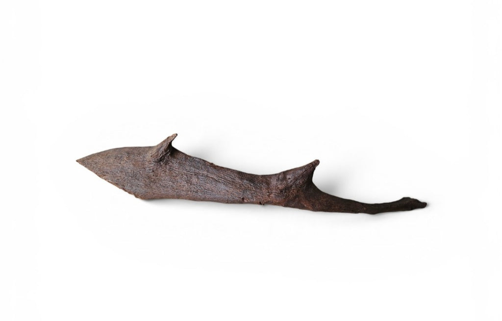 Driftwood / Flusswurzel Nr.793