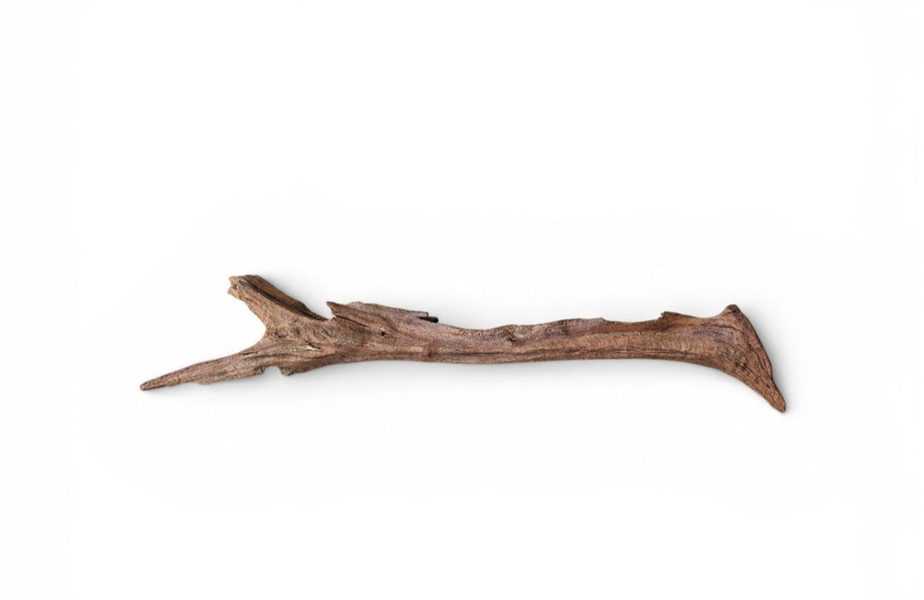 Driftwood / Flusswurzel Nr.800