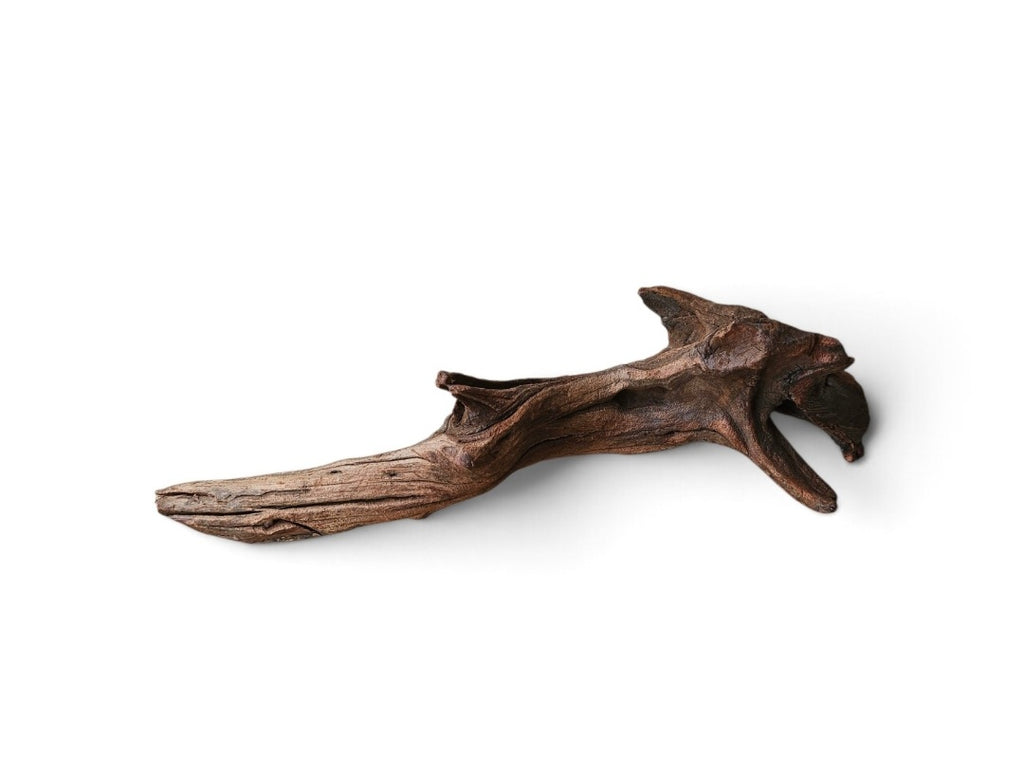 Driftwood / Flusswurzel Nr. 835