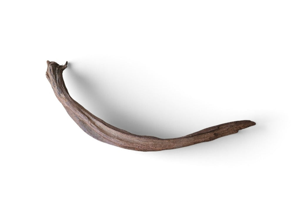 Driftwood / Flusswurzel Nr. 90