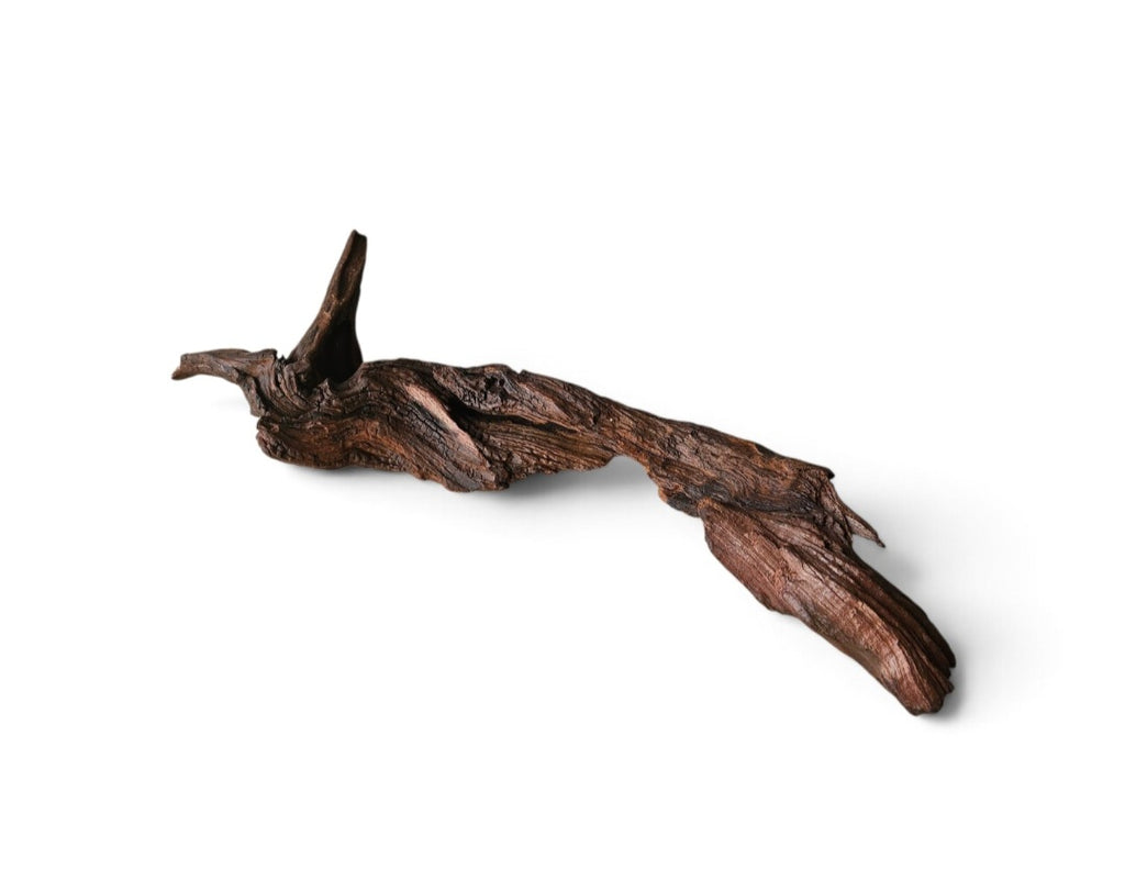 Driftwood / Flusswurzel Nr. 975