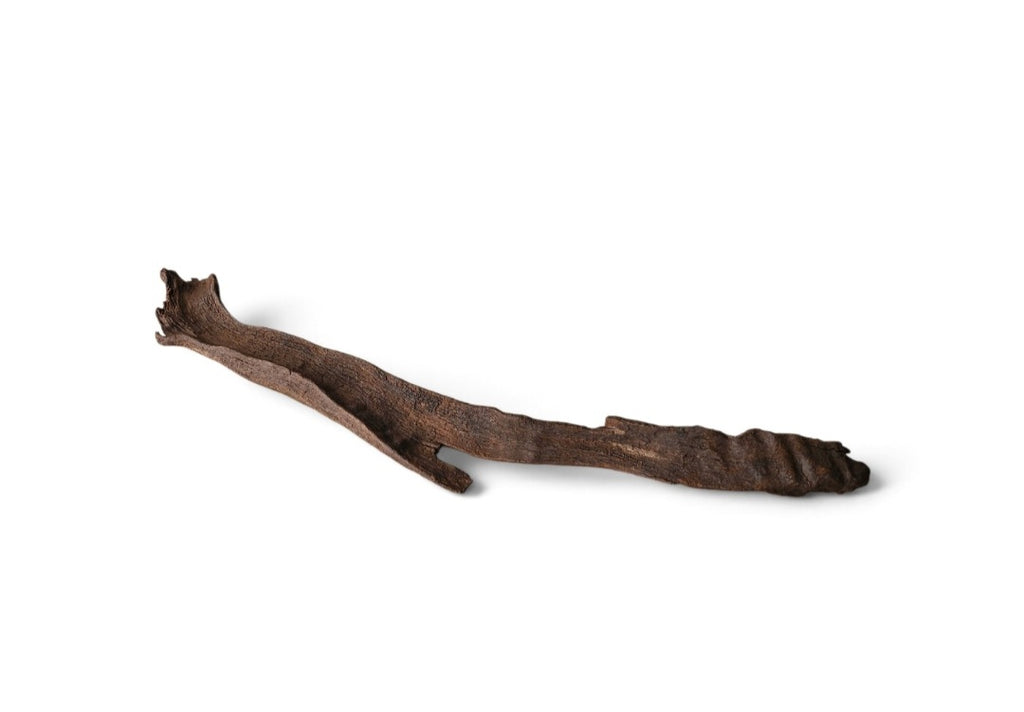 Driftwood / Flusswurzel Nr. 977
