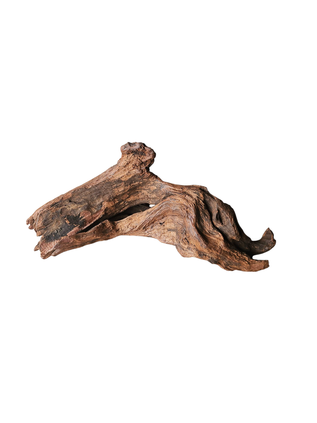 Driftwood / Flusswurzel Nr.979