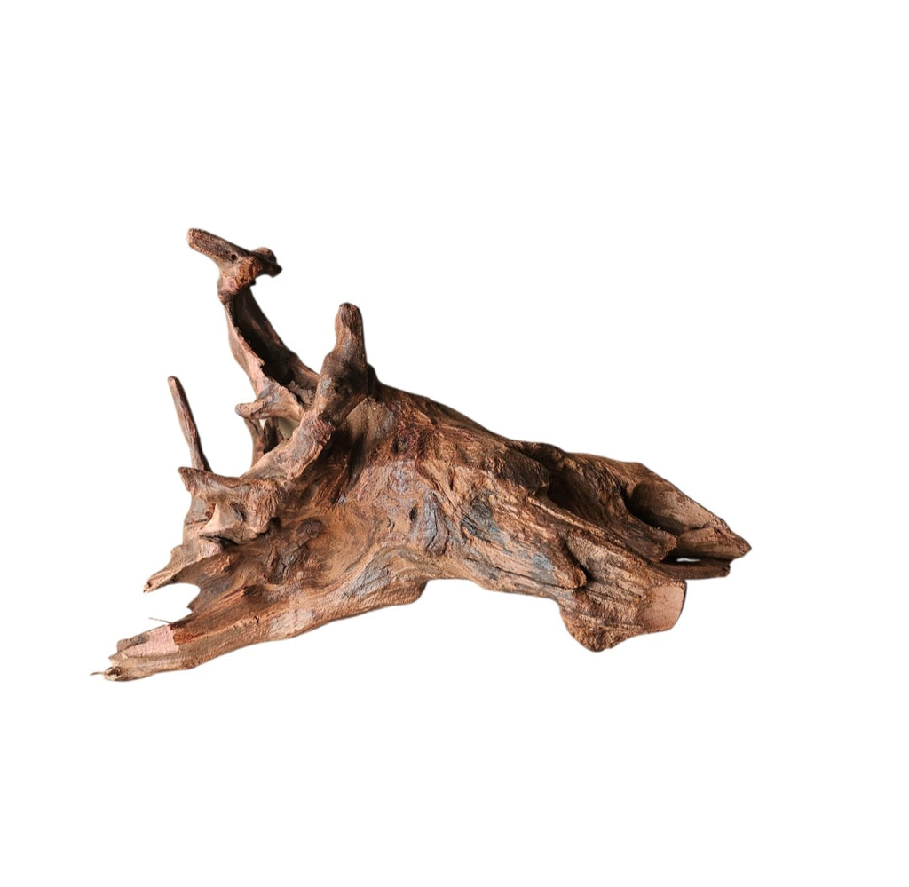 Driftwood / Flusswurzel Nr.980