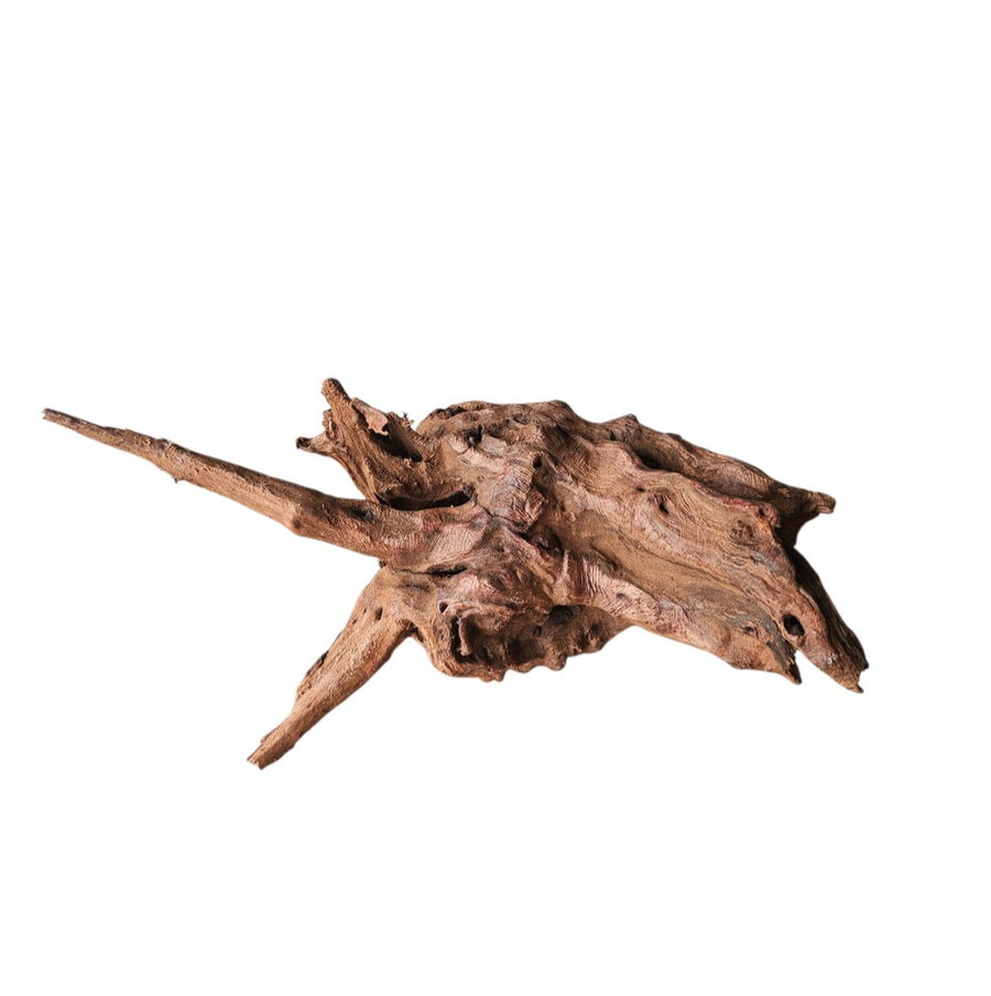 Driftwood / Flusswurzel Nr.981