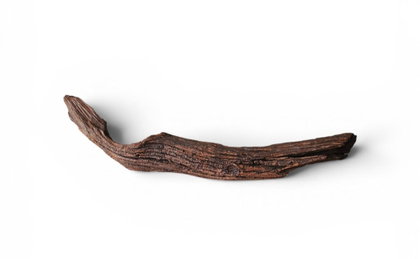 Driftwood / Flusswurzel Nr.982