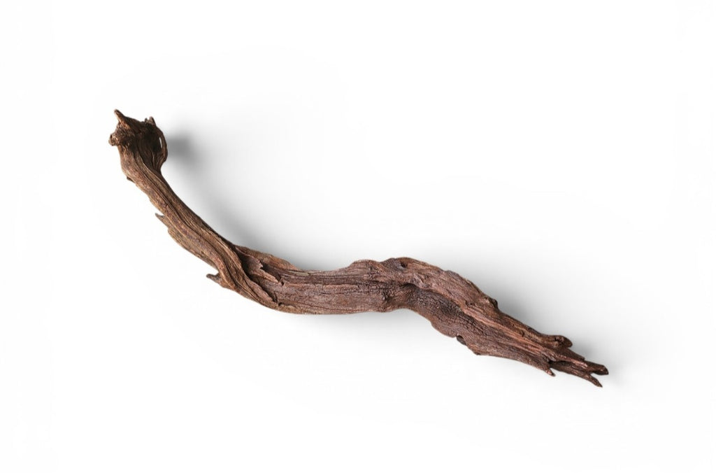 Driftwood / Flusswurzel Nr.983