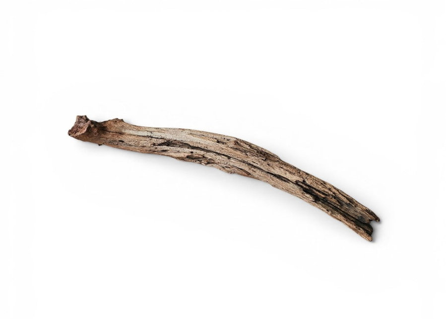 Driftwood / Flusswurzel Nr.986