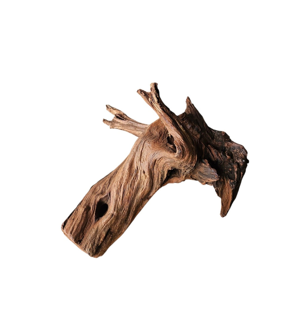 Driftwood / Flusswurzel Nr.987