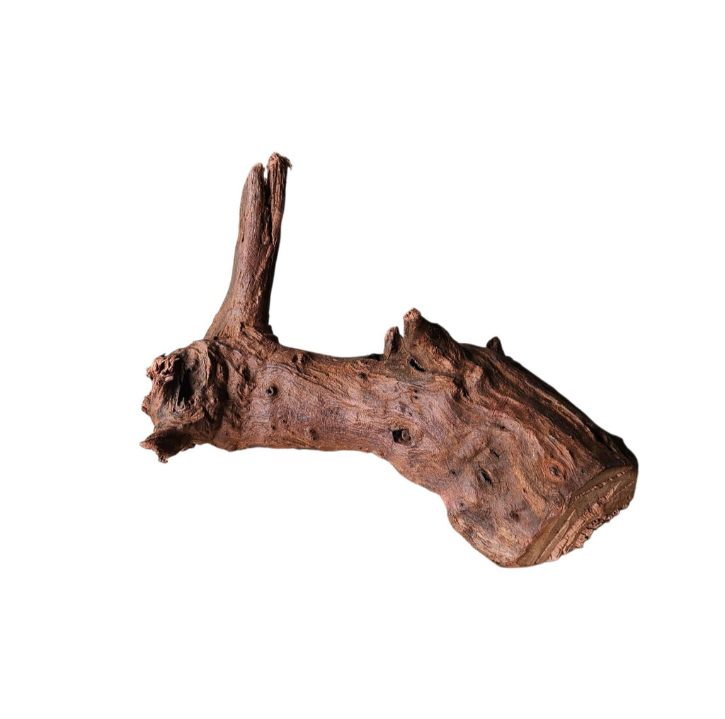 Driftwood / Flusswurzel Nr.988