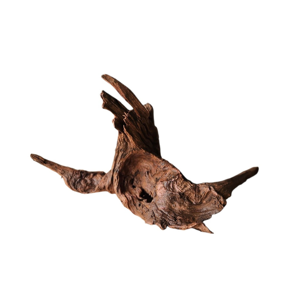 Driftwood / Flusswurzel Nr.989
