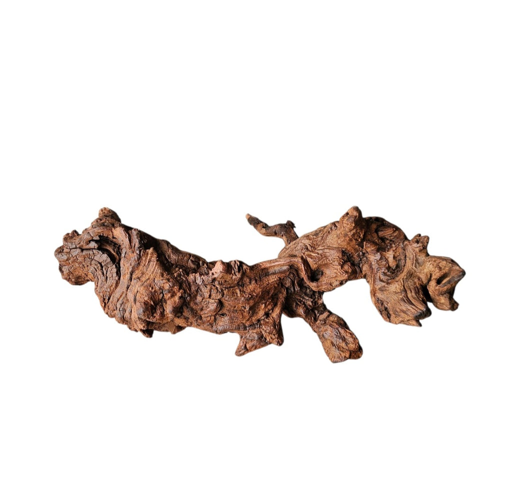 Driftwood / Flusswurzel Nr.990
