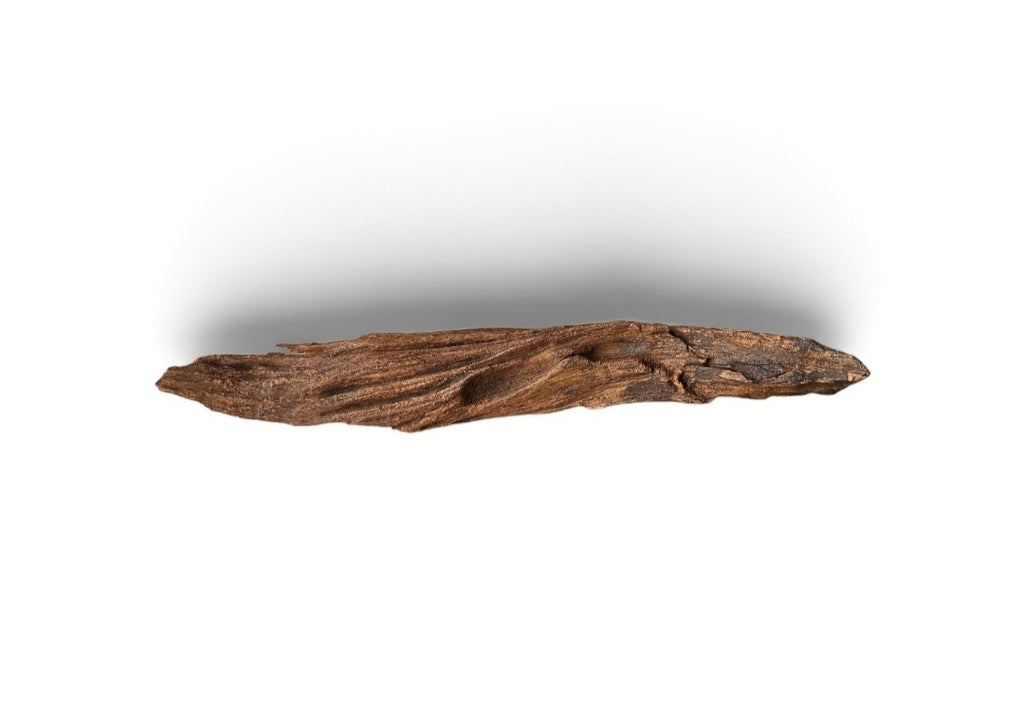 Driftwood / Flusswurzel Nr.991