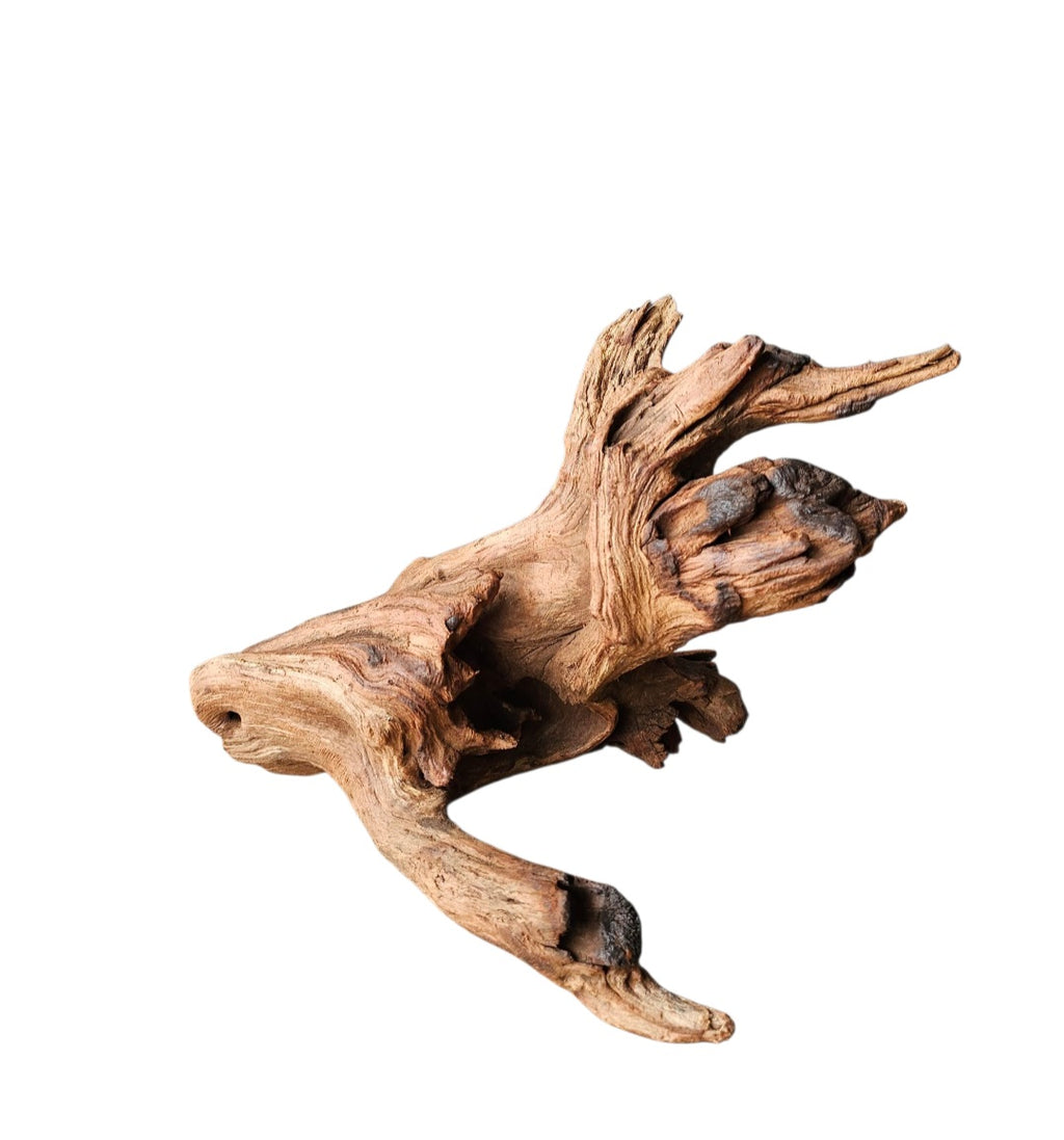 Driftwood / Flusswurzel Nr.993