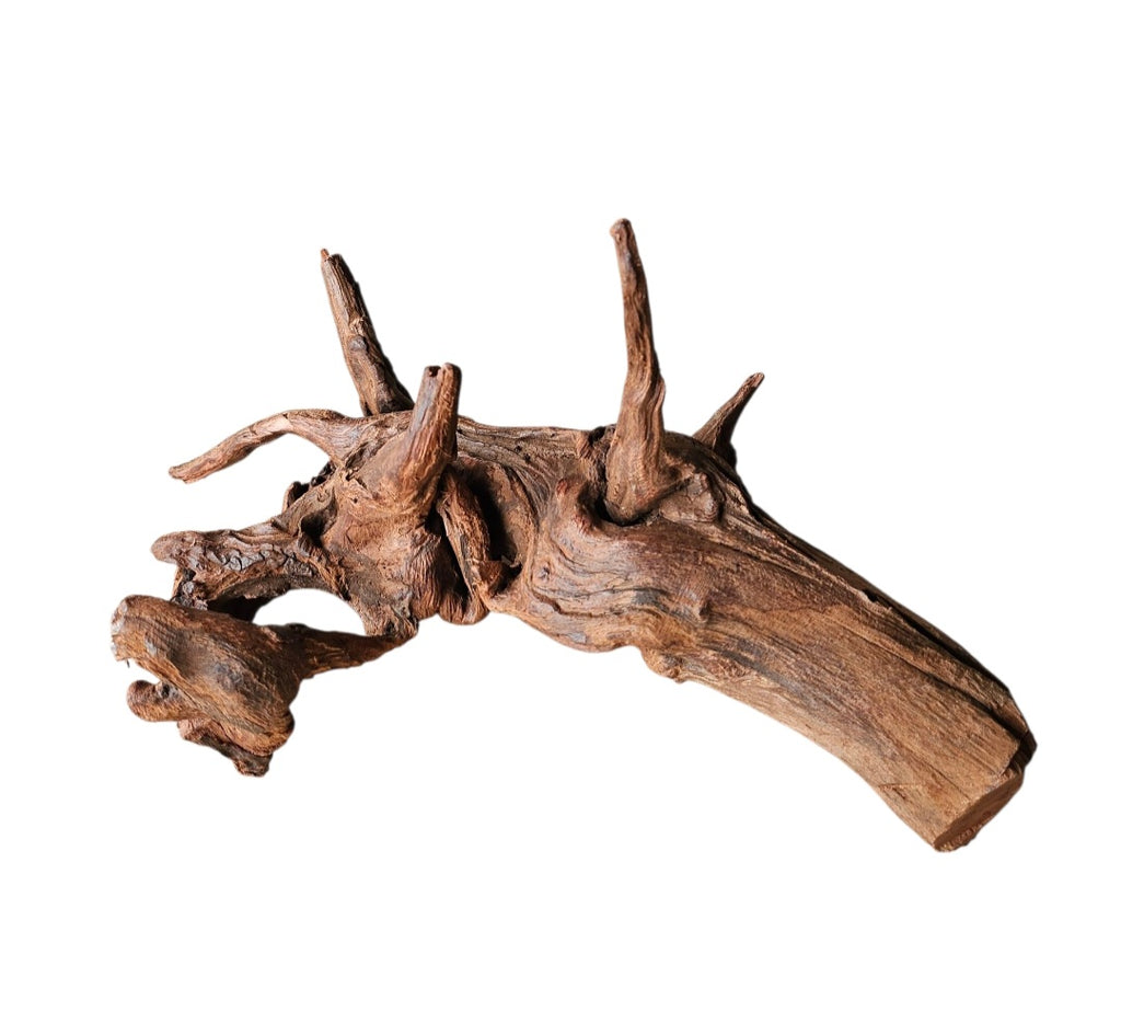Driftwood / Flusswurzel Nr.994