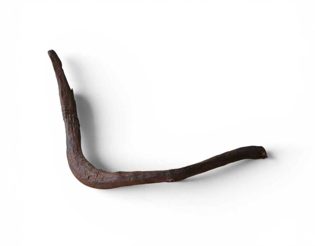 Driftwood / Flusswurzel Nr.995