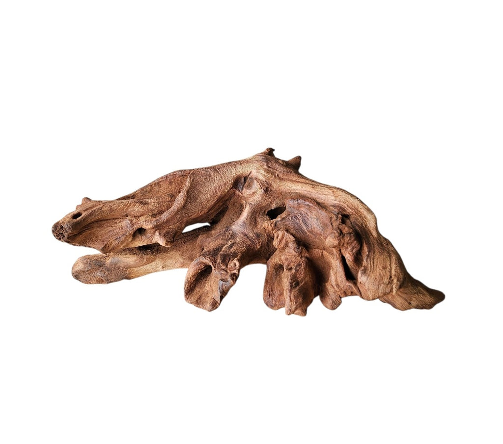 Driftwood / Flusswurzel Nr.996