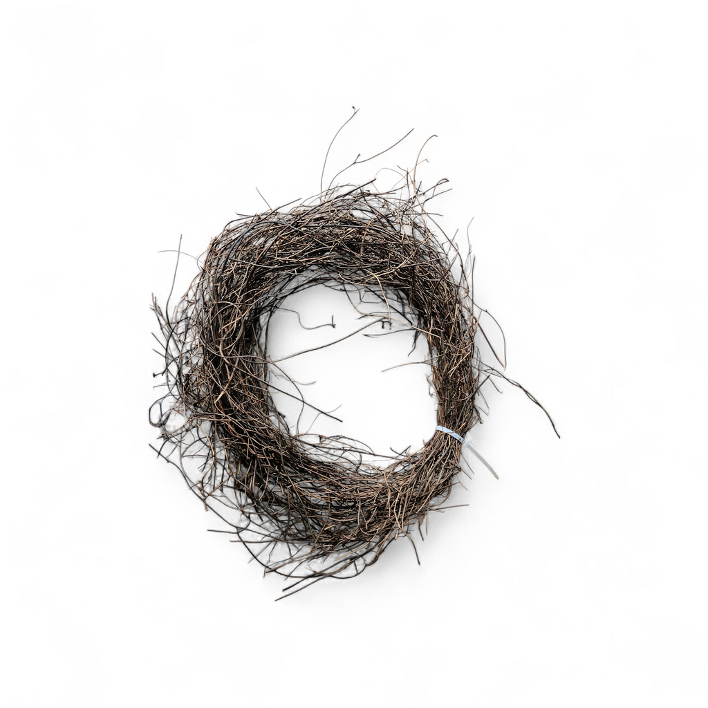 Hanging Roots