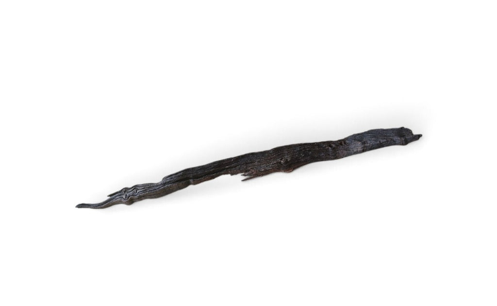 Driftwood / Flusswurzel Nr.209