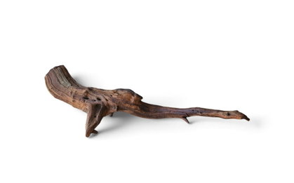 Driftwood / Flusswurzel Nr.324
