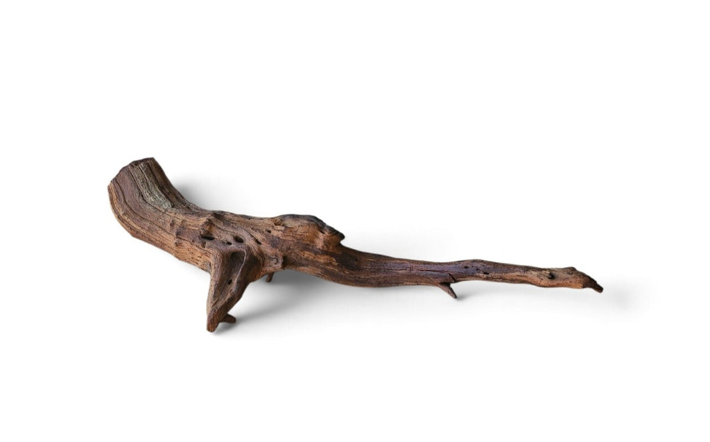 Driftwood / Flusswurzel Nr.324