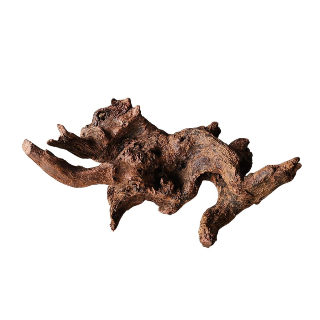 Driftwood / Flusswurzel Nr.335