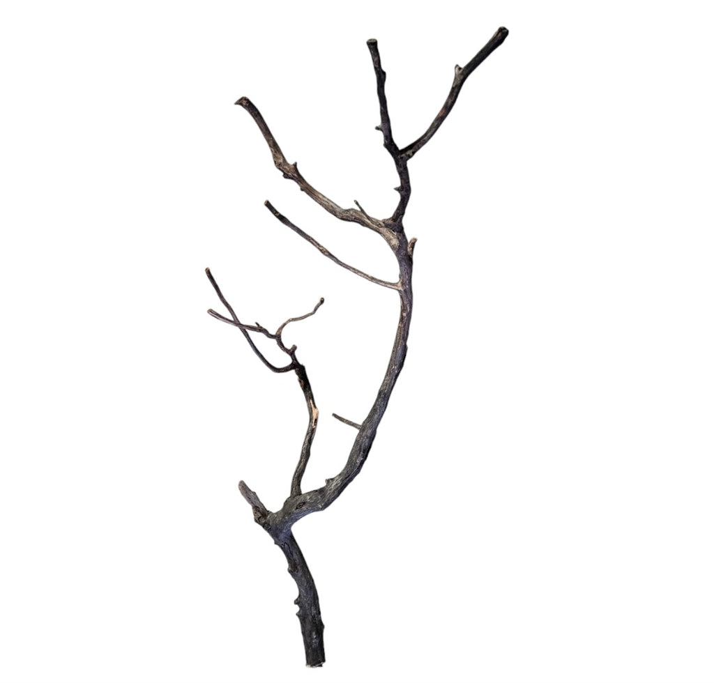 Octopus Wood Nr. 809