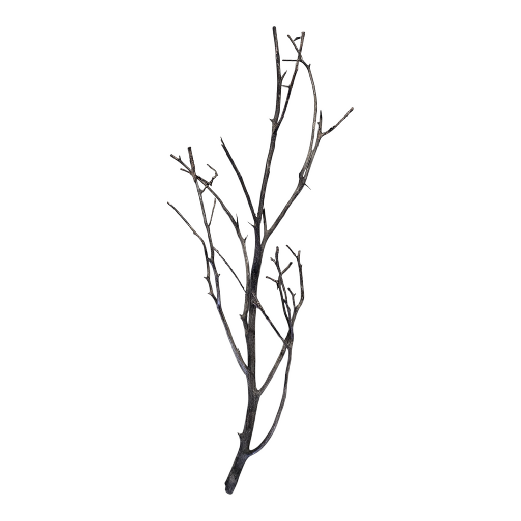 Octopus Wood Nr. 810