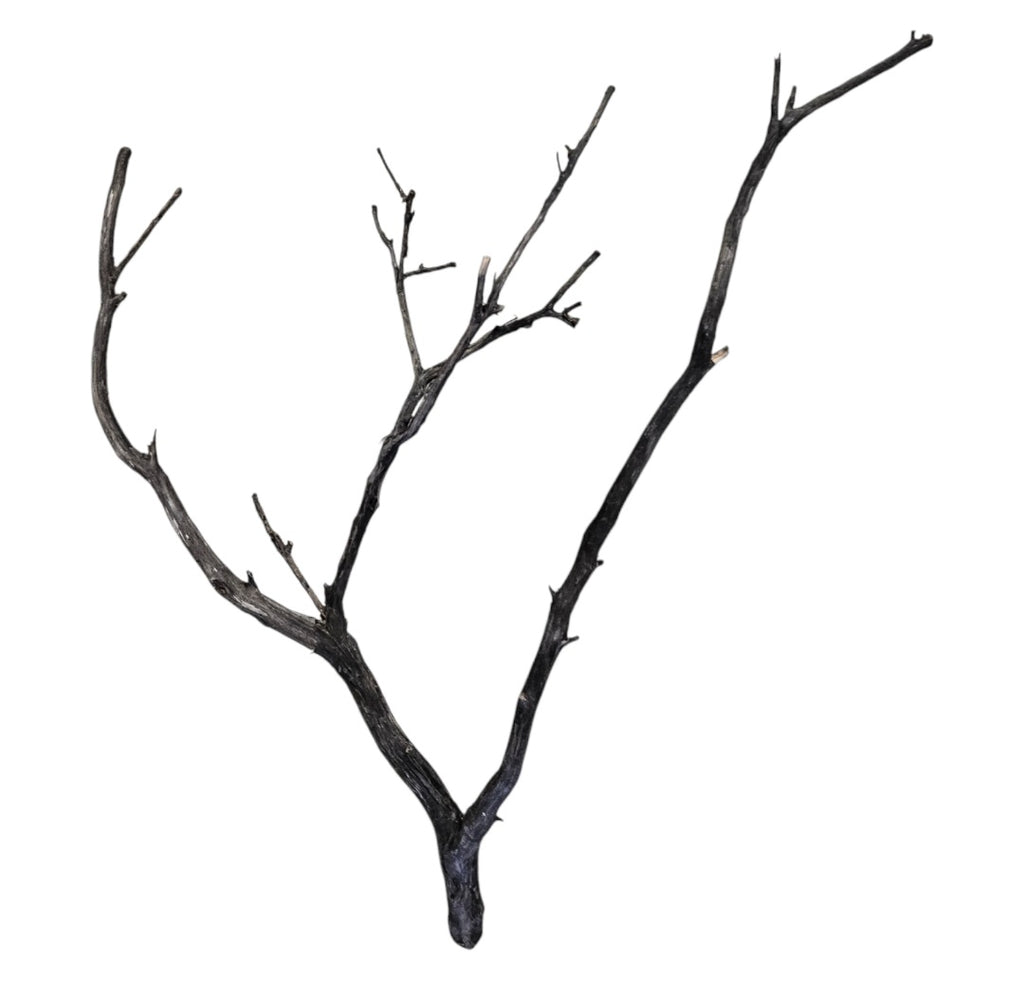 Octopus Wood Nr. 820